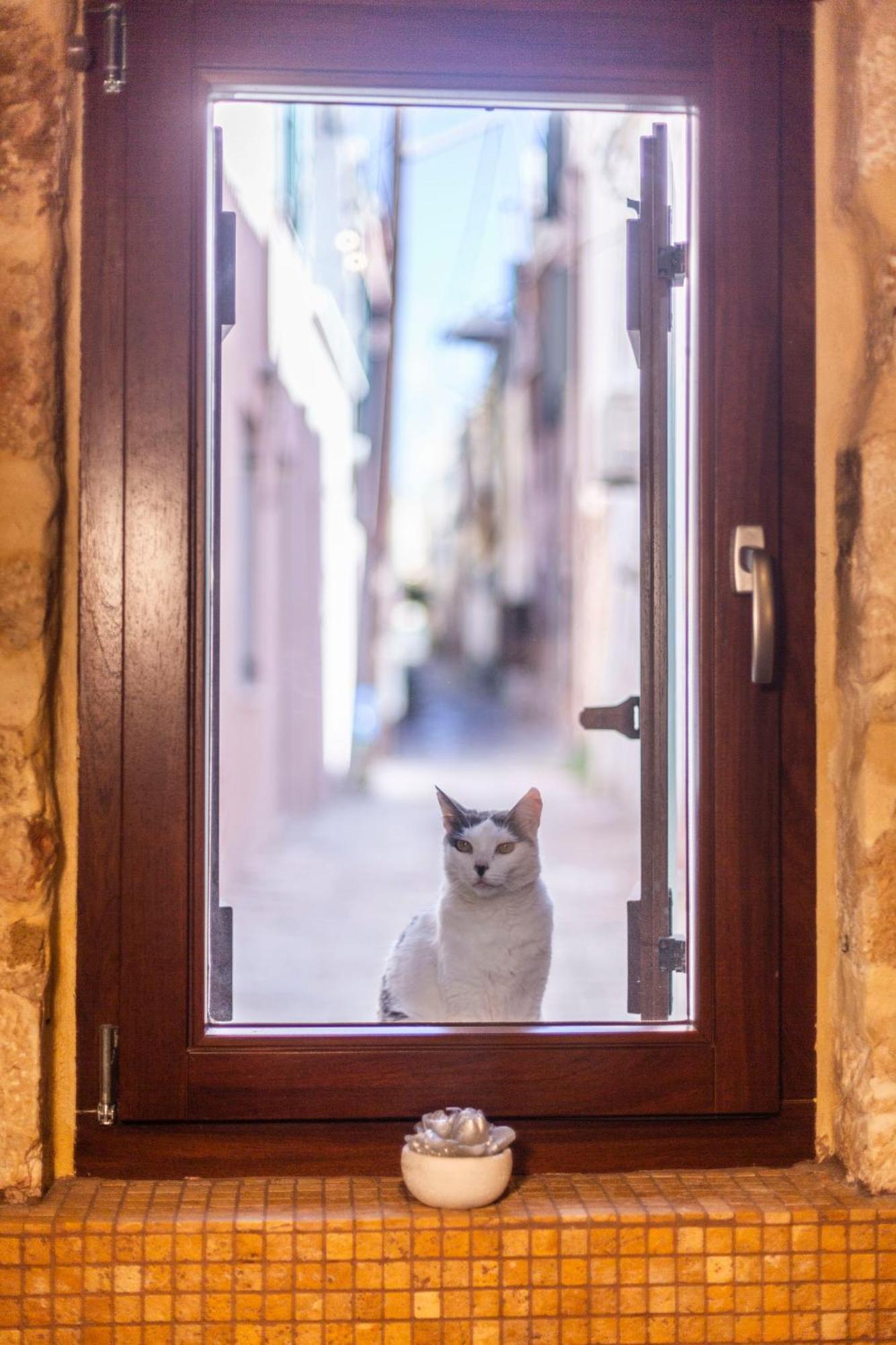 Athena'S House Apartment Chania  Luaran gambar