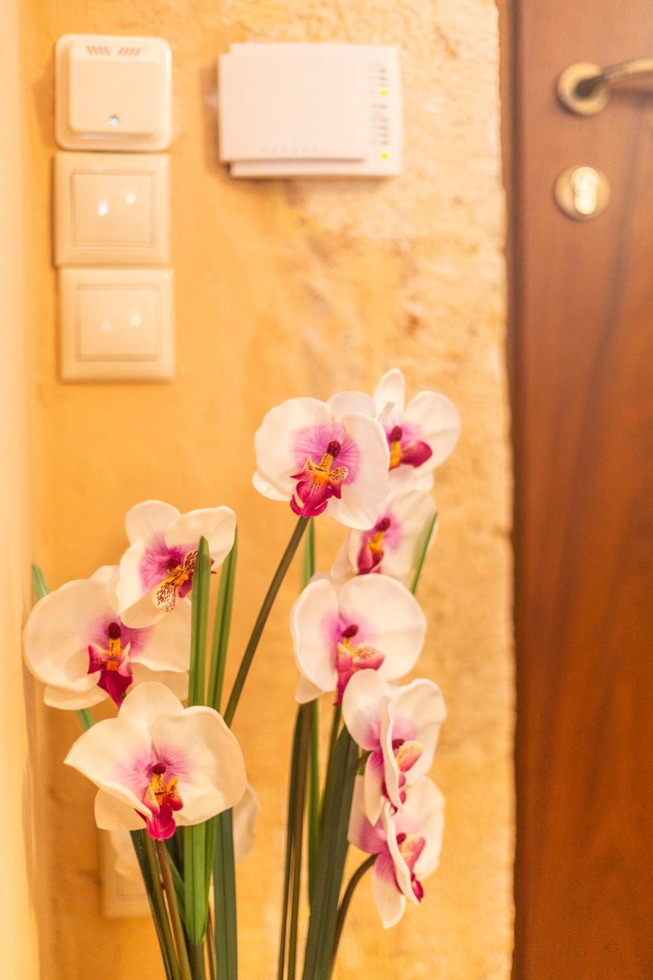 Athena'S House Apartment Chania  Luaran gambar